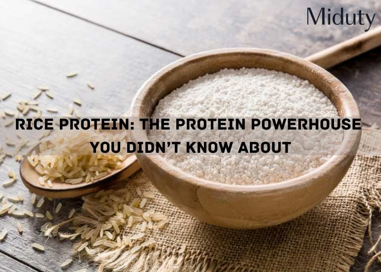 Rice Protein: The Protein Powerhouse You Didn’t Know About