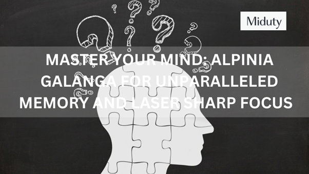 Master your Mind: Alpinia Galanga for unparalleled Memory and Laser Sharp Focus