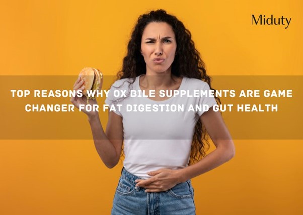 Top Reasons Why Ox Bile Supplements Are Game Changer for Fat Digestion and Gut Health