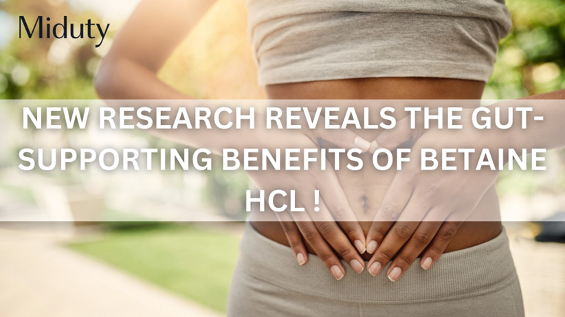 New Research Reveals the Gut-Supporting Benefits of Betaine HCL