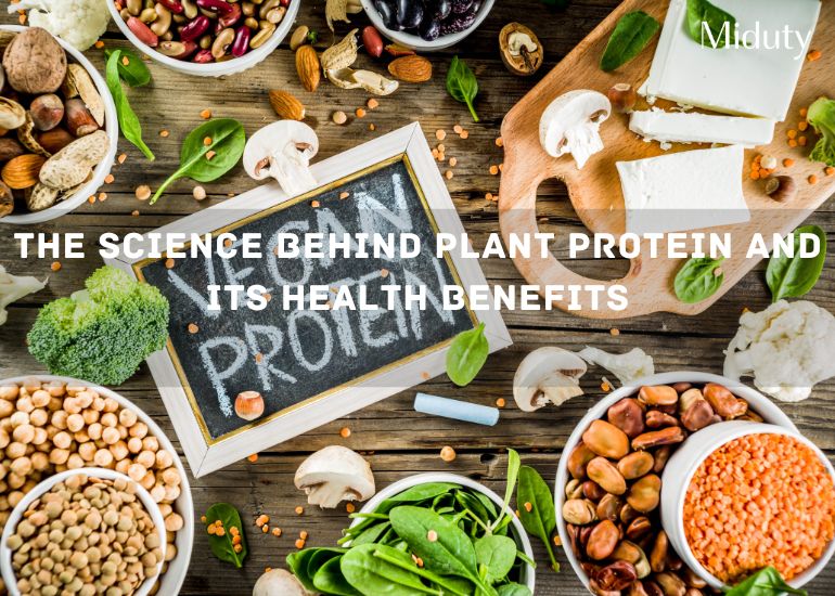 The Science Behind Plant Protein and Its Health Benefits