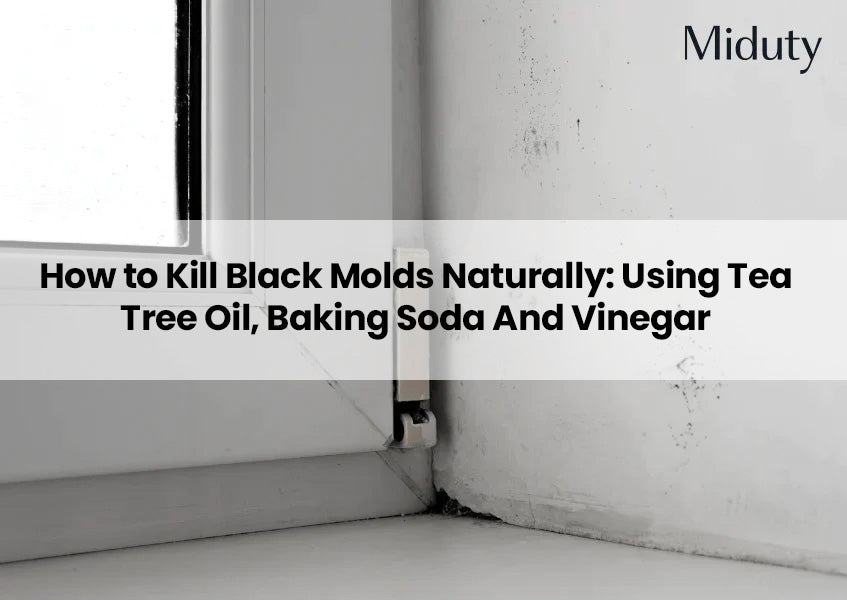 How to Kill Black Molds Naturally: Using Tea Tree Oil, Baking Soda And Vinegar
