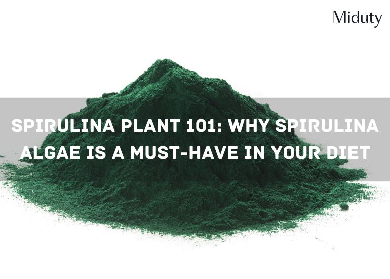 Spirulina Plant: Nutritional and Protein value