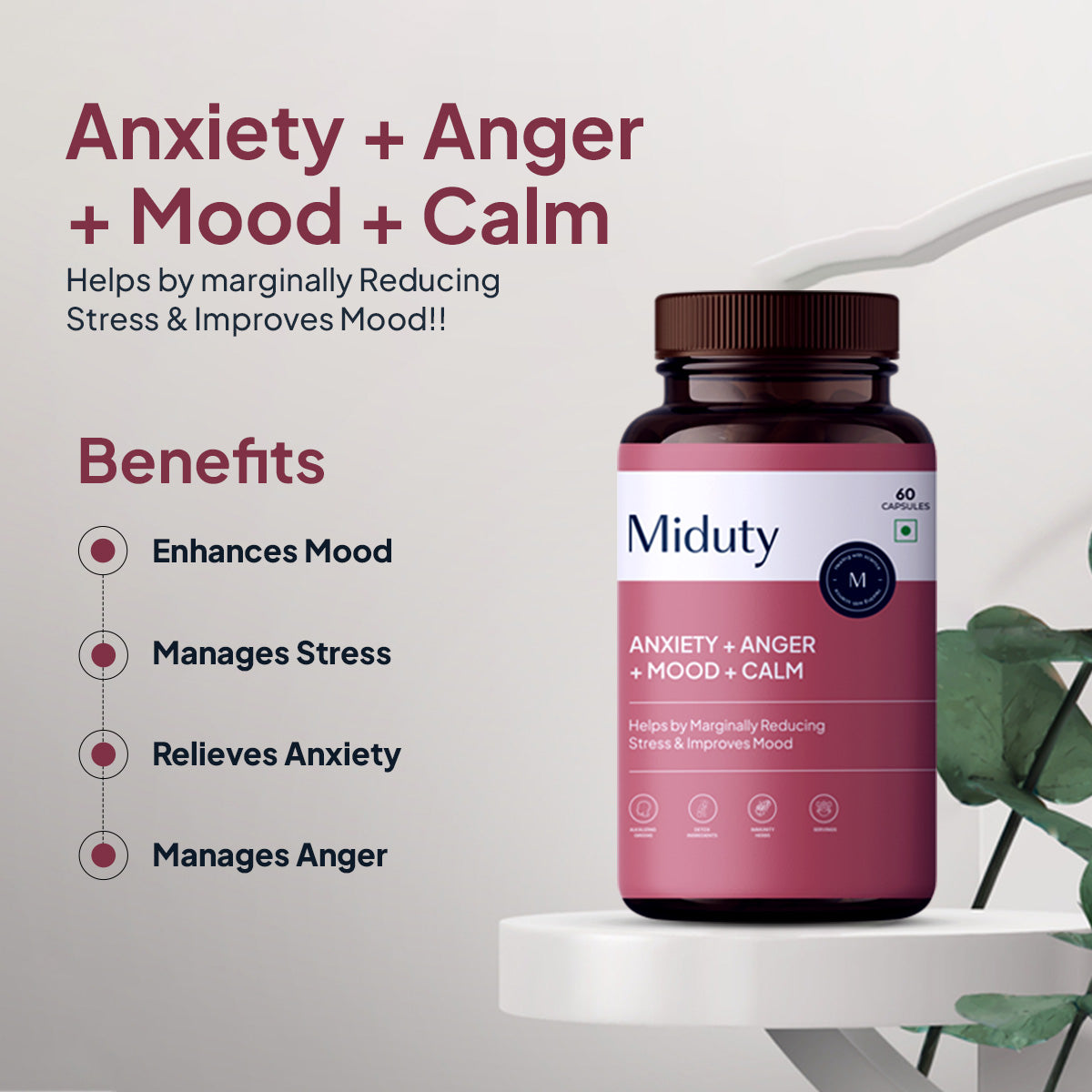 Anxiety+ Anger+ Mood+ Calm - Miduty