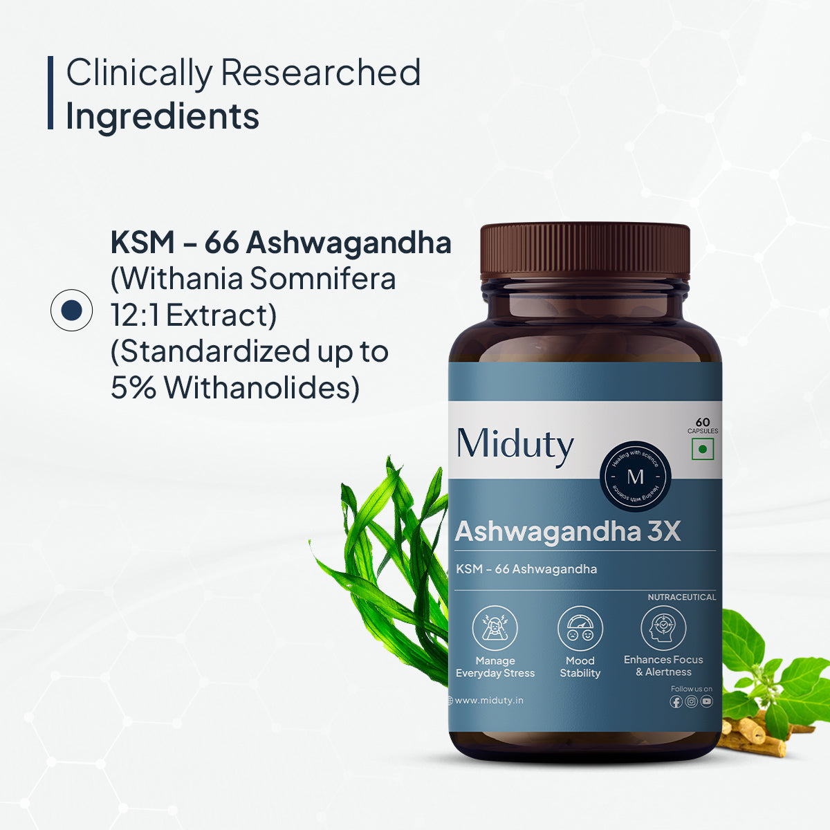 Ingredients in Ashwagandha Supplement